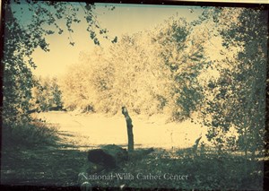 Image description is not available for PHO-4-W689-938